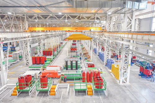 海口 向綠而生 向美而行 綠色低碳繪就椰城新畫卷